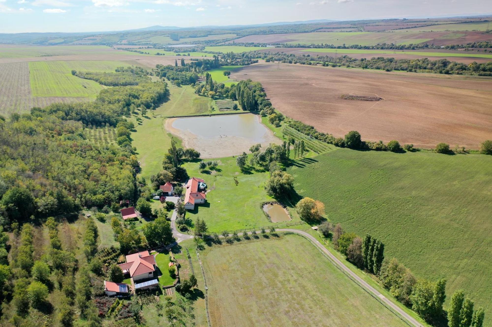 Kishosszuret Vendeghaz Hotel Pécsvárad Exterior foto